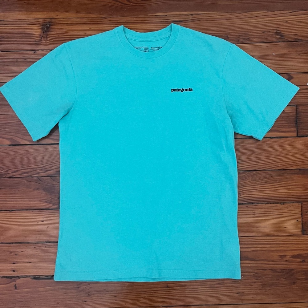 Patagonia T Shirt